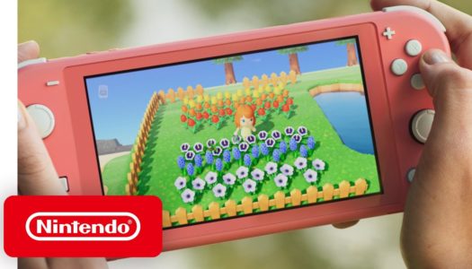 Nintendo Switch System Update 10.0.0 is out now and adds button mapping