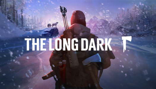 Review: The Long Dark (Nintendo Switch)